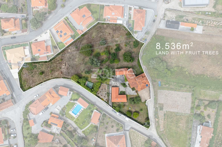 Quinta T7 para Venda em Ancora Foto 3