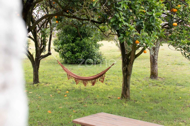 Quinta T7 para Venda em Ancora Foto 56