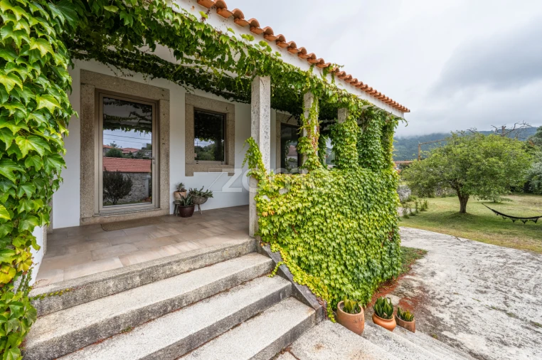 Quinta T7 para Venda em Ancora Foto 17