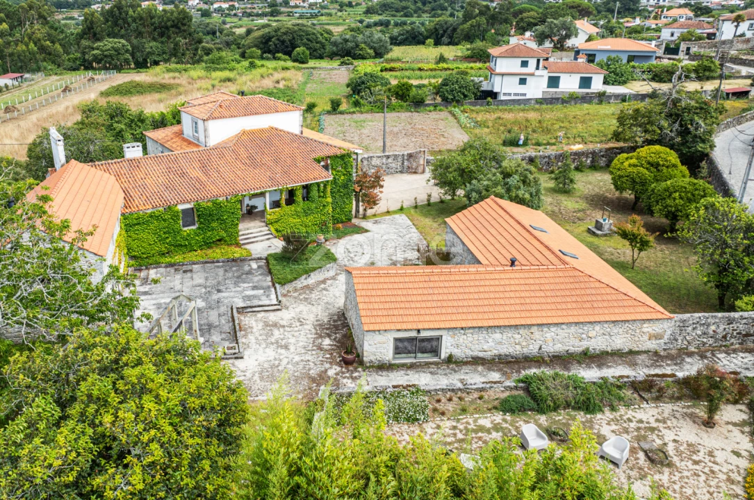 Quinta T7 para Venda em Ancora Foto 5