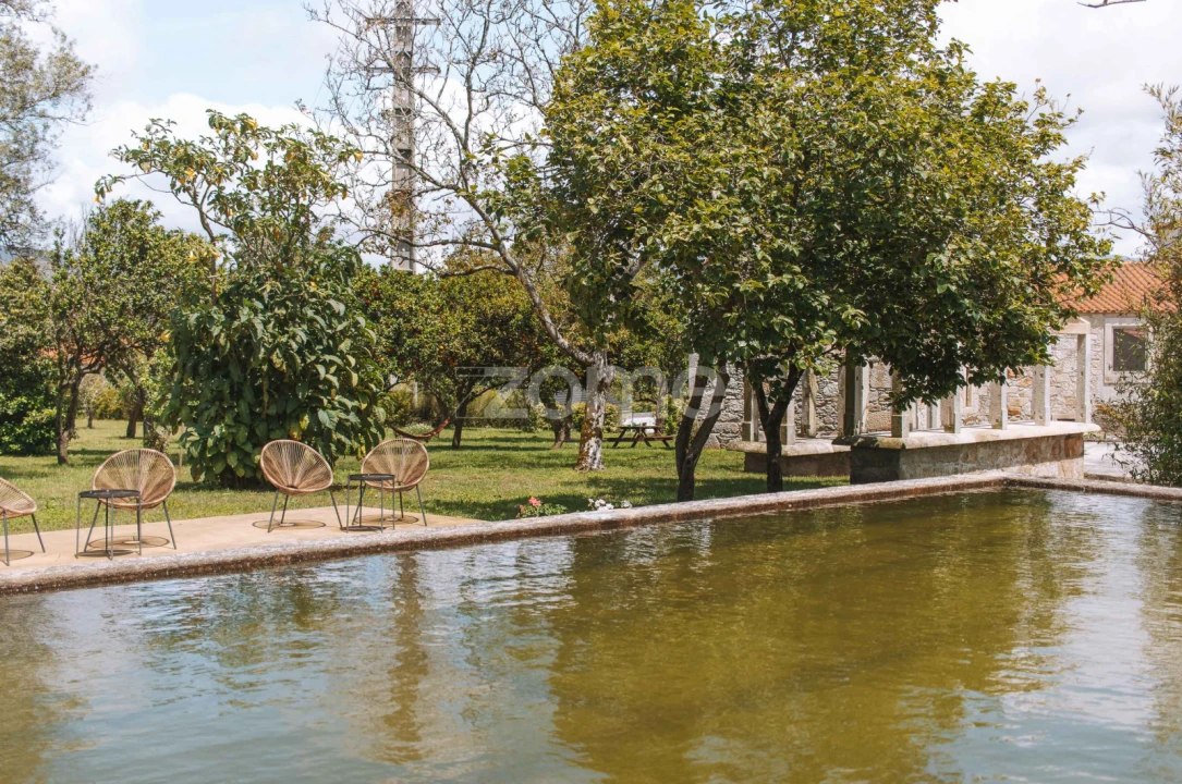 Quinta T7 para Venda em Ancora Foto 54