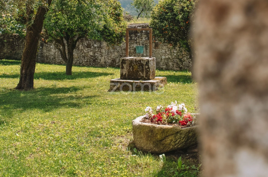 Quinta T7 para Venda em Ancora Foto 53