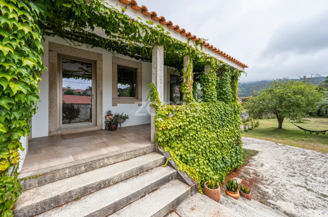 Quinta T7 para Venda em Ancora Foto 17