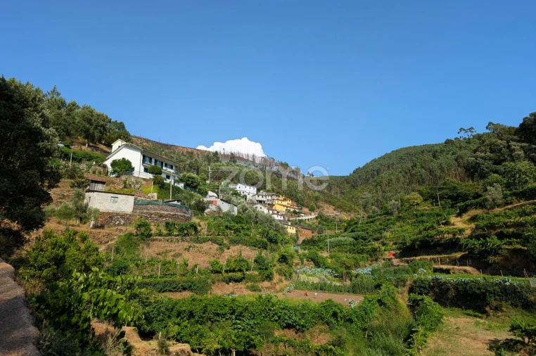 Moradia T1 para Venda em Covelo de Paivó e Janarde Foto 42