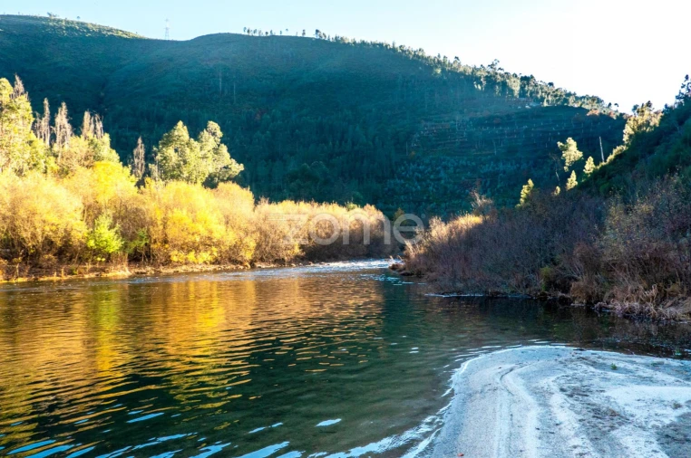 Moradia T1 para Venda em Covelo de Paivó e Janarde Foto 44