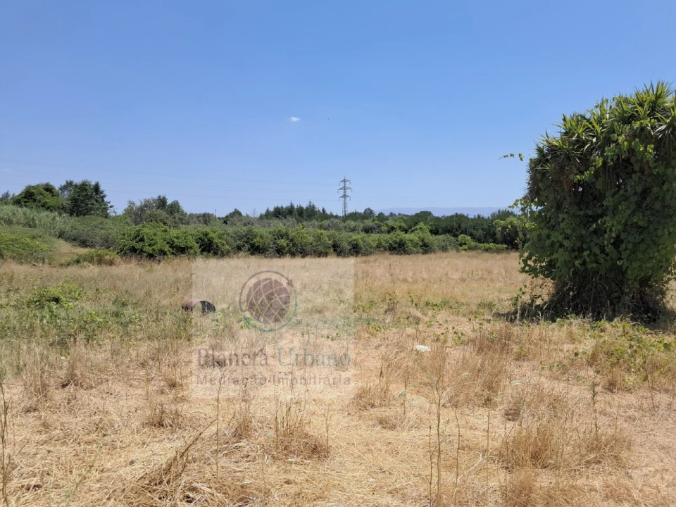 Quinta para Venda em Nelas Foto 1