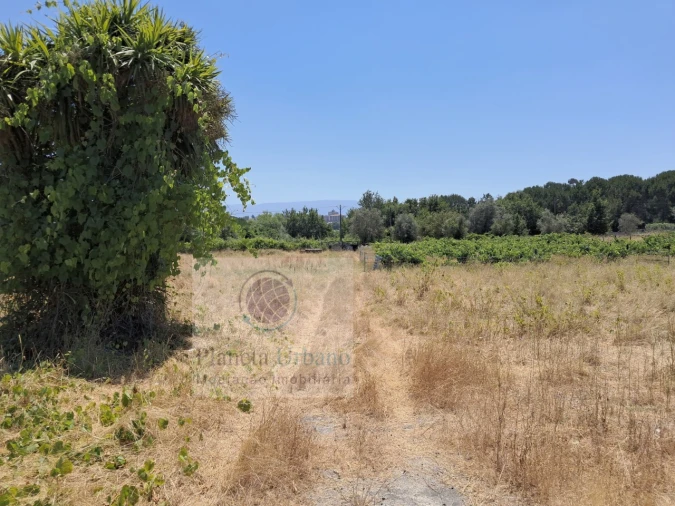 Quinta para Venda em Nelas Foto 2