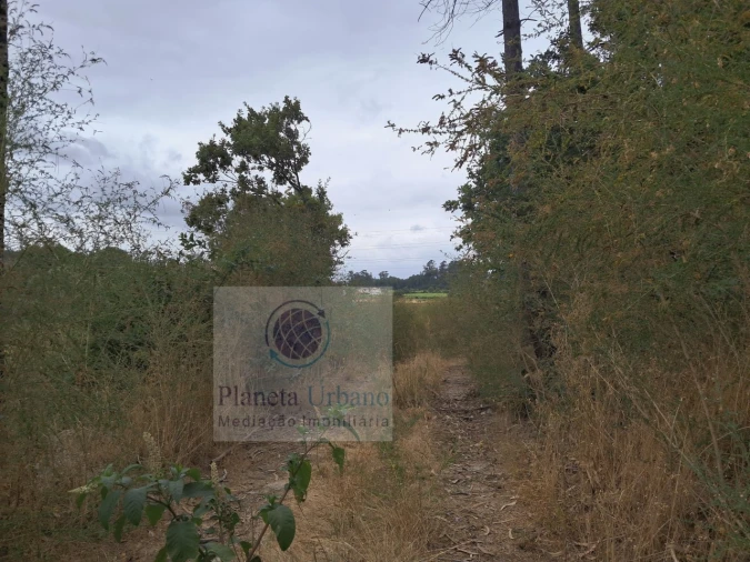 Terreno Agricola ou Rústico para Venda em Irivo Foto 2
