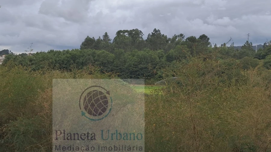 Terreno Agricola ou Rústico para Venda em Irivo