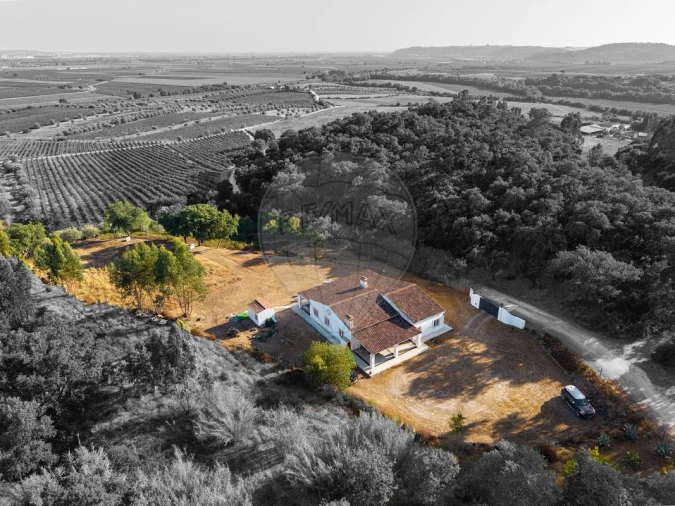 Moradia T3 para Venda em São Vicente do Paul e Vale de Figueira Foto 50