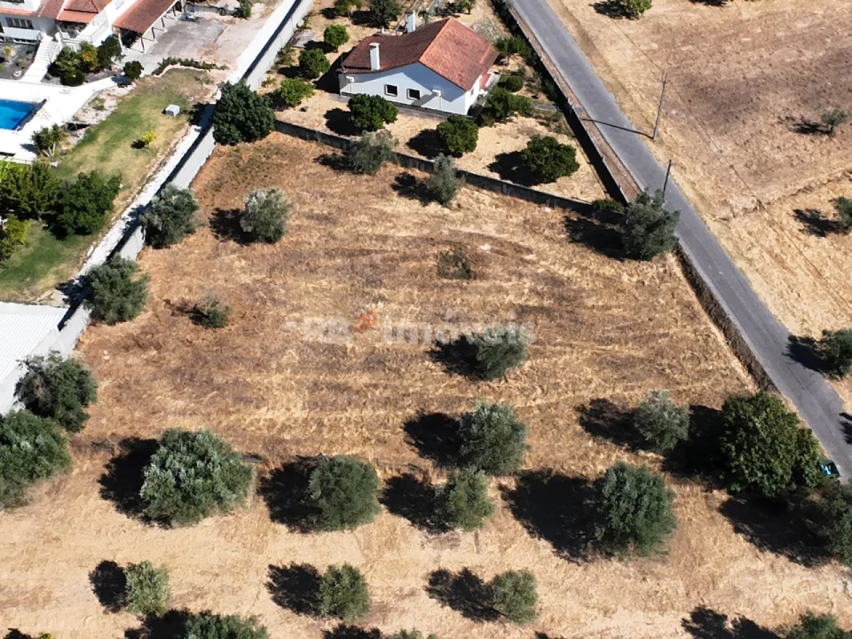 Terreno para Venda em Paialvo Foto 4