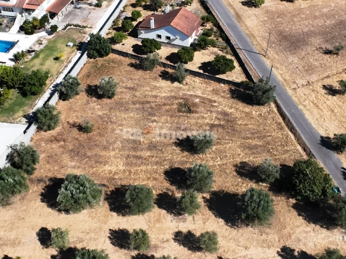 Terreno para Venda em Paialvo Foto 4