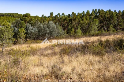 Terreno para Venda em Salgueiro do Campo
