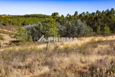 Terreno para Venda em Salgueiro do Campo