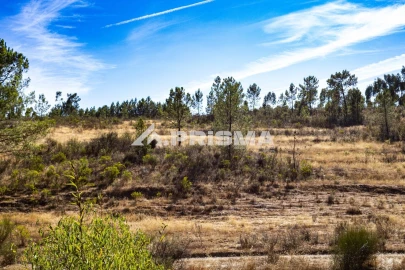 Terreno para Venda em Salgueiro do Campo