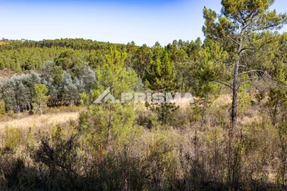 Terreno para Venda em Salgueiro do Campo