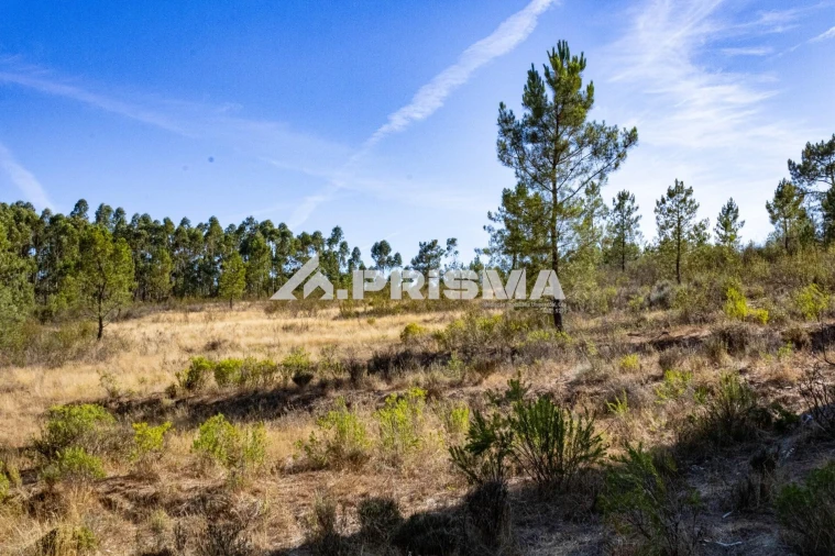 Terreno para Venda em Salgueiro do Campo Foto 6