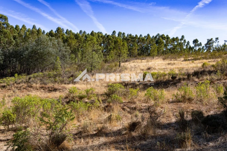 Terreno para Venda em Salgueiro do Campo Foto 5