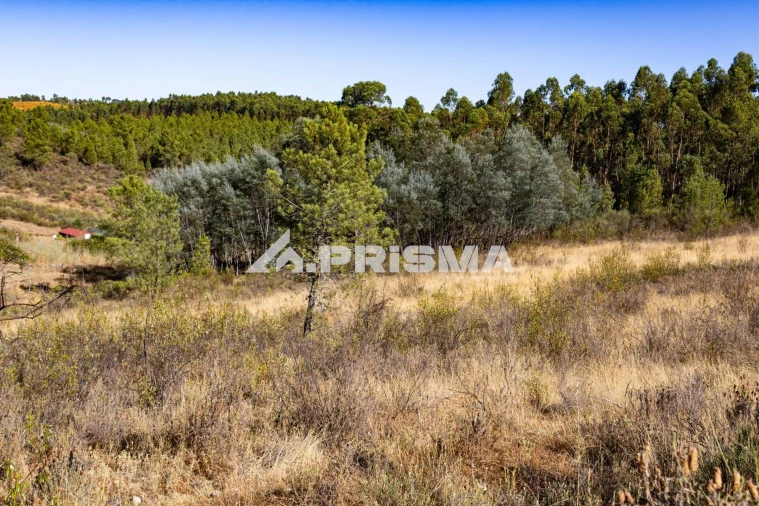 Terreno para Venda em Salgueiro do Campo Foto 9