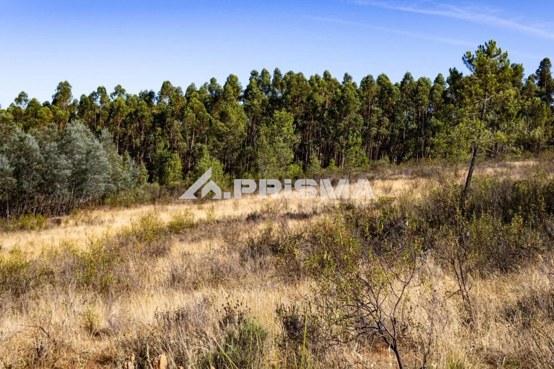 Terreno para Venda em Salgueiro do Campo Foto 10