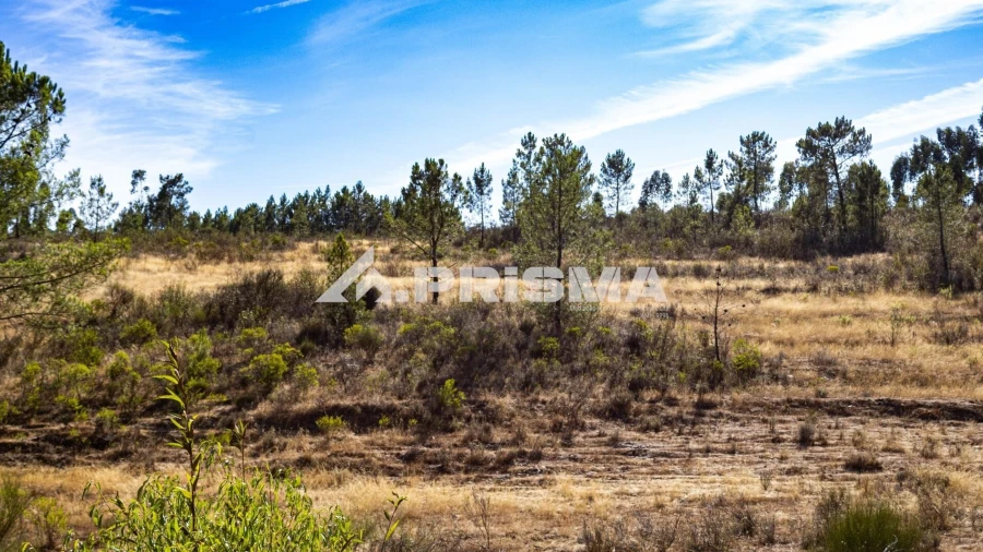 Terreno para Venda em Salgueiro do Campo