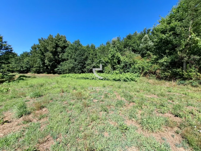 Terreno para Venda em Estorãos Foto 6