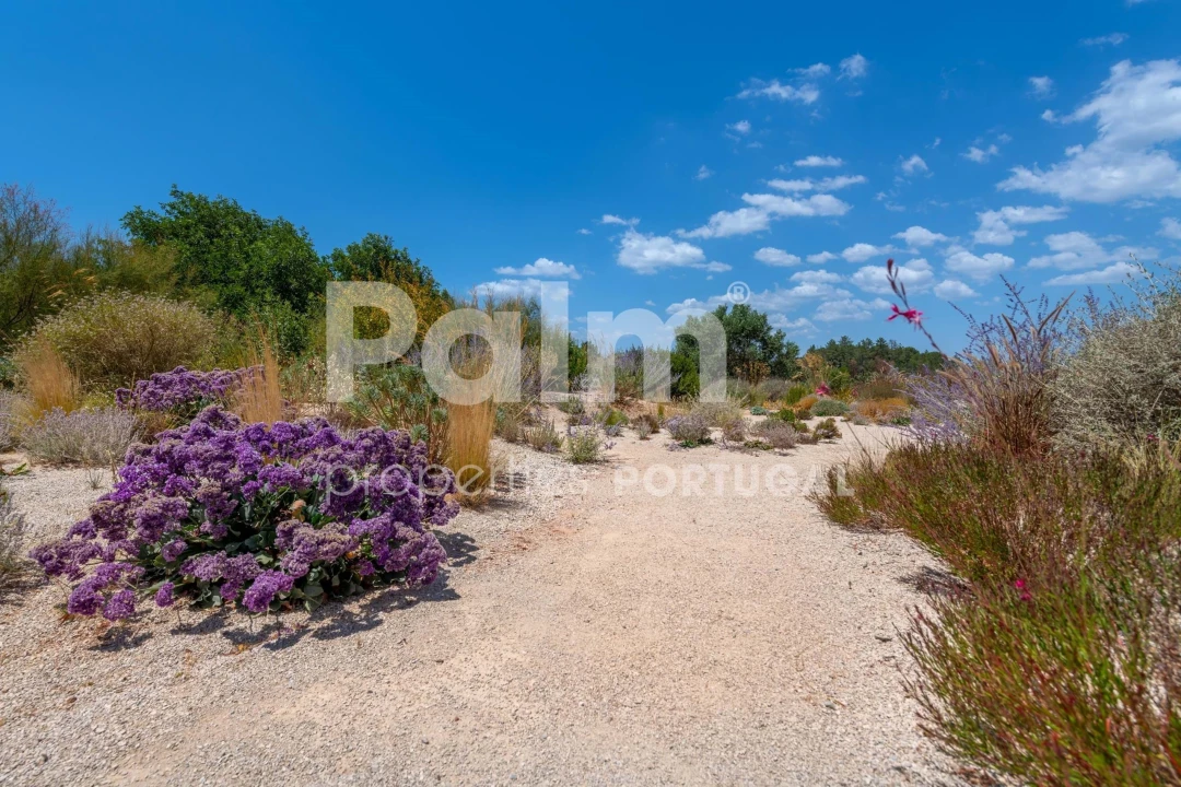 Moradia T3 para Venda em Armação de Pera Foto 83