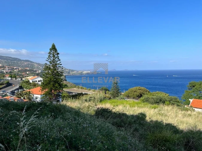 Terreno para Venda em Gaula Foto 2