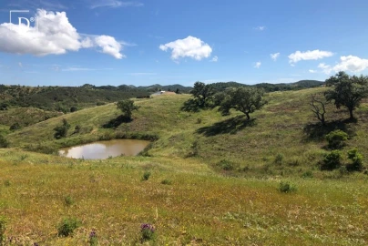 Terreno para Venda em Silves