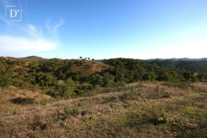 Terreno para Venda em Silves