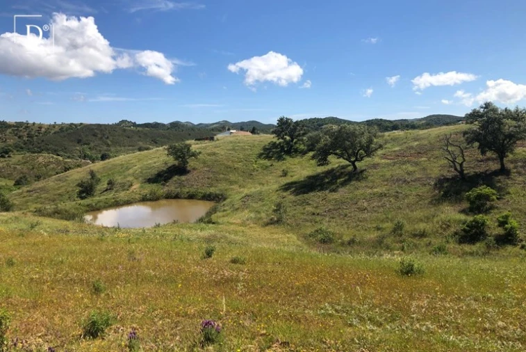 Terreno para Venda em Silves Foto 7