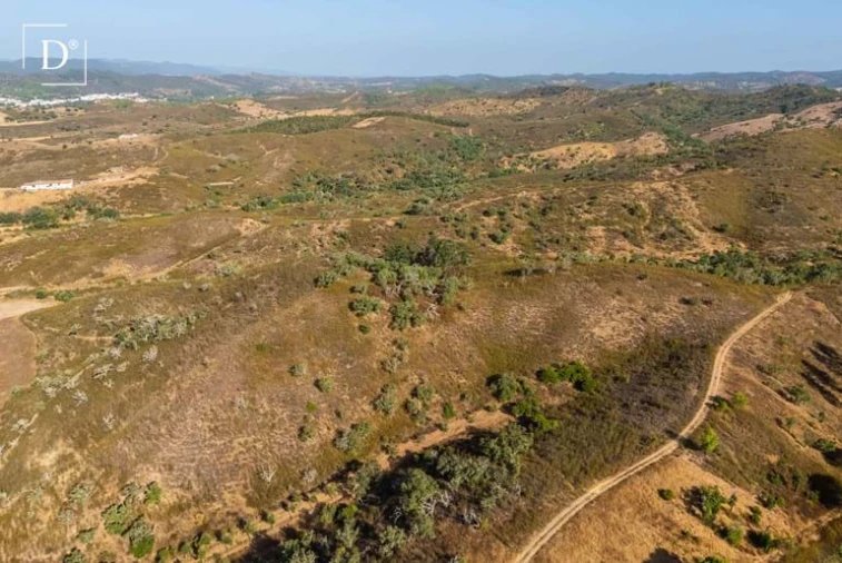 Terreno para Venda em Silves Foto 13