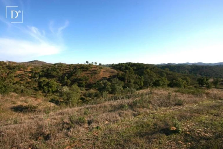 Terreno para Venda em Silves Foto 20
