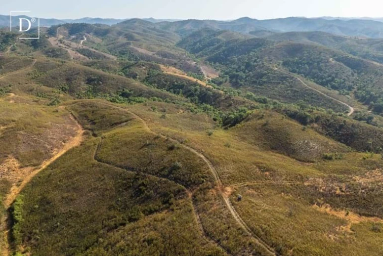 Terreno para Venda em Silves Foto 16