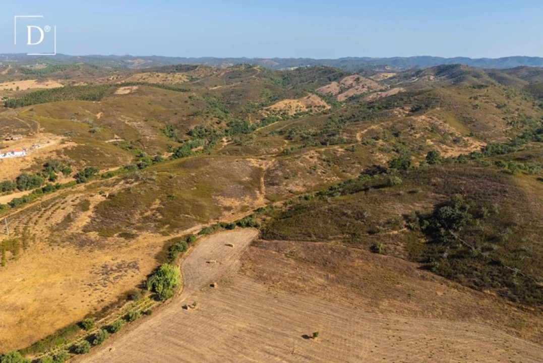 Terreno para Venda em Silves Foto 17