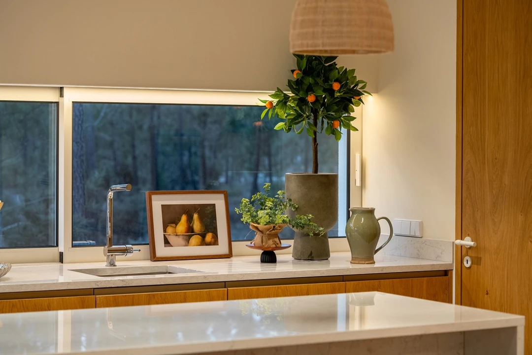 Moradia T3 para Venda em Comporta Foto 67