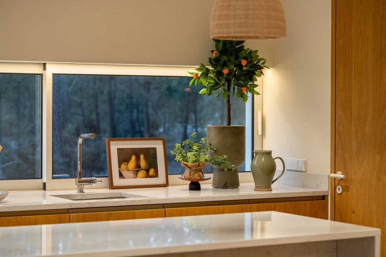 Moradia T3 para Venda em Comporta Foto 67