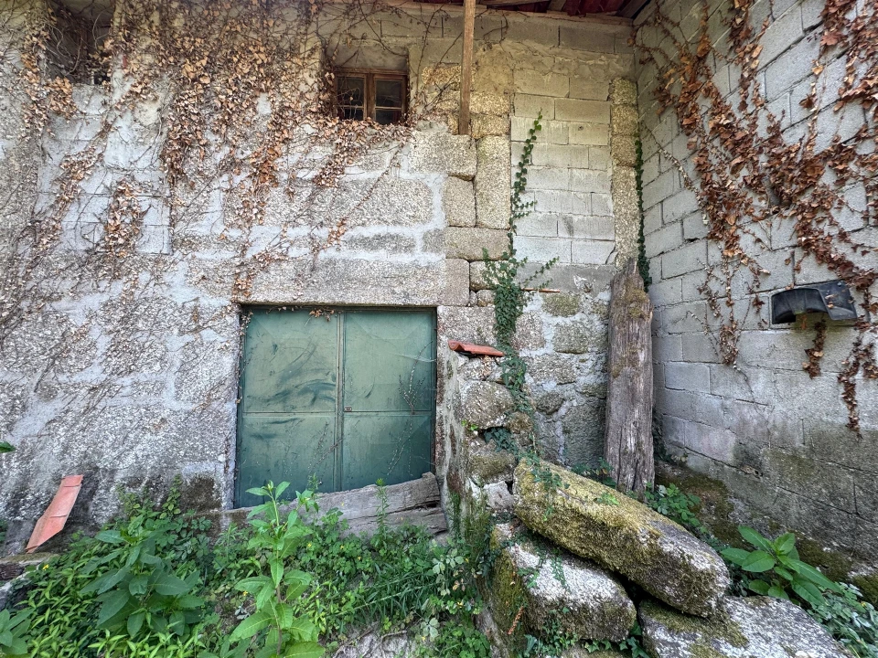 Quinta T3 para Venda em Moimenta Foto 49