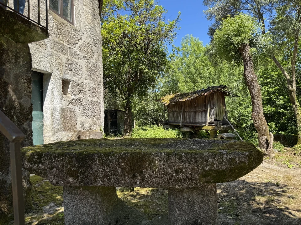 Quinta T3 para Venda em Moimenta Foto 20