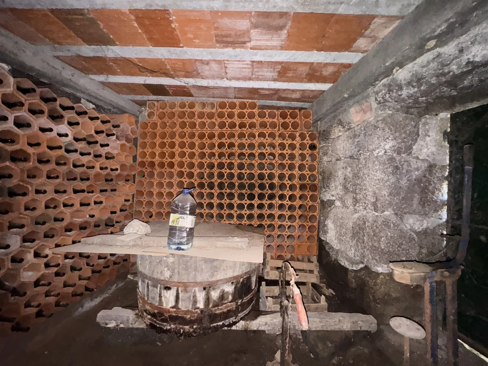 Quinta T3 para Venda em Moimenta Foto 9