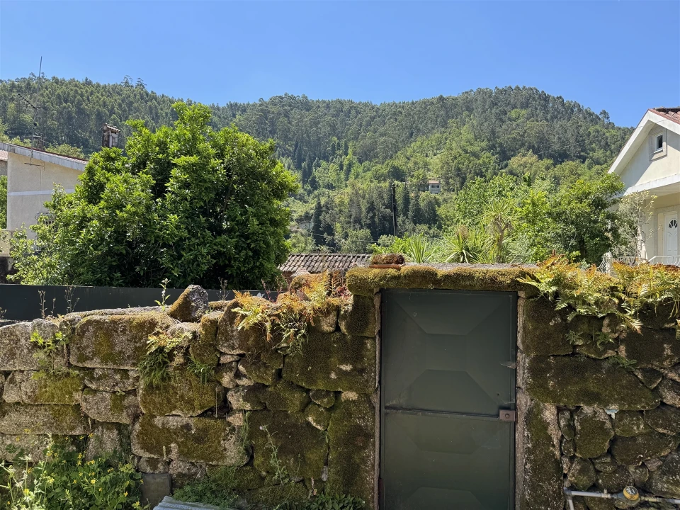 Quinta T3 para Venda em Moimenta Foto 5