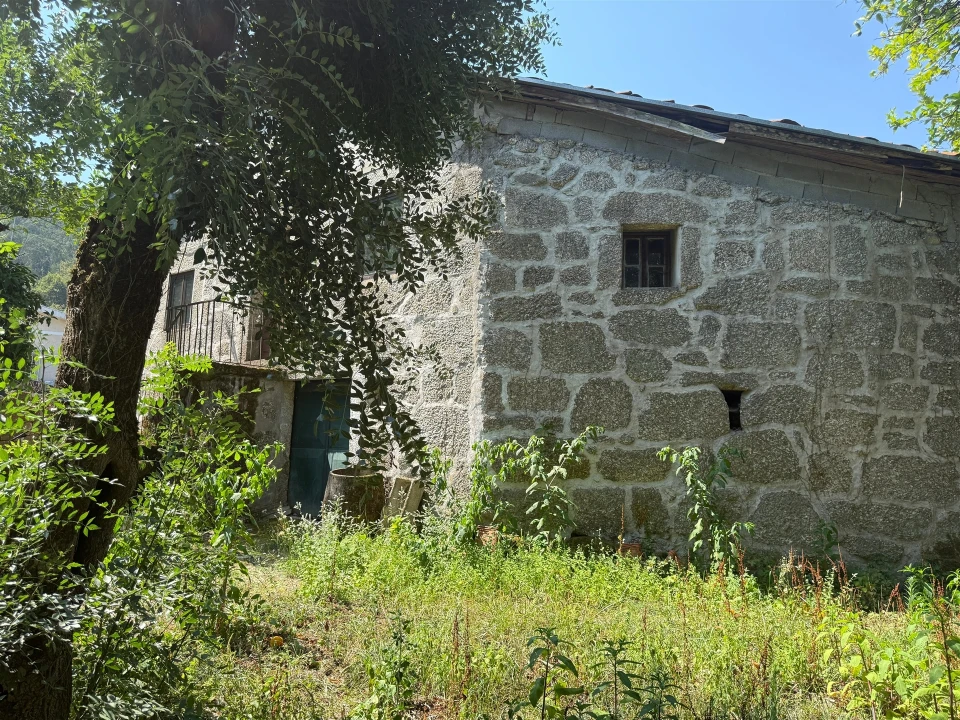 Quinta T3 para Venda em Moimenta Foto 37