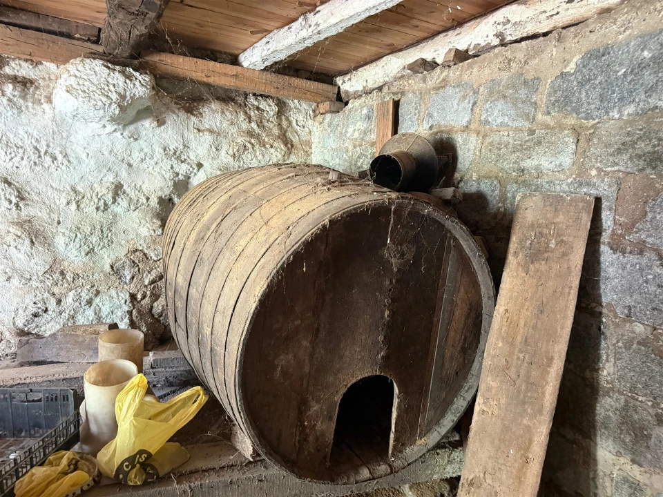 Quinta T3 para Venda em Moimenta Foto 28