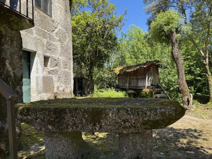 Quinta T3 para Venda em Moimenta Foto 20