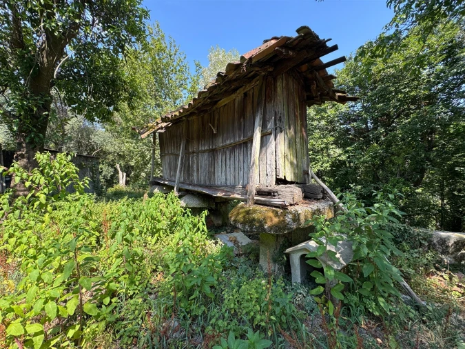 Quinta T3 para Venda em Moimenta Foto 48