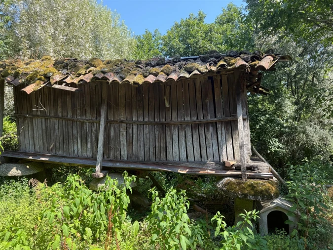 Quinta T3 para Venda em Moimenta Foto 36