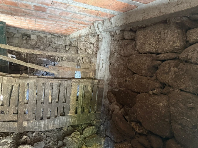 Quinta T3 para Venda em Moimenta Foto 30