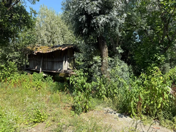 Quinta T3 para Venda em Moimenta Foto 27