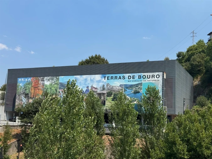 Quinta T3 para Venda em Moimenta Foto 38