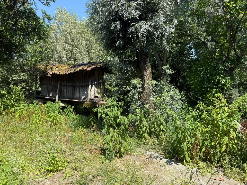 Quinta T3 para Venda em Moimenta Foto 27